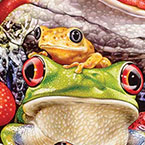 Frog Business