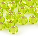 014 - Silverlined Chartreuse
