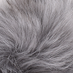Seal Gray