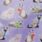 Fancy Cats