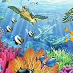 Tropical Waters